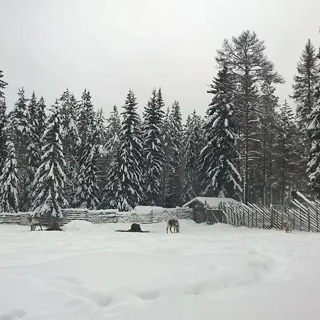 Holiday Homes Of Poro-pekan Pirtti Çiftlik konaklama Patokoski