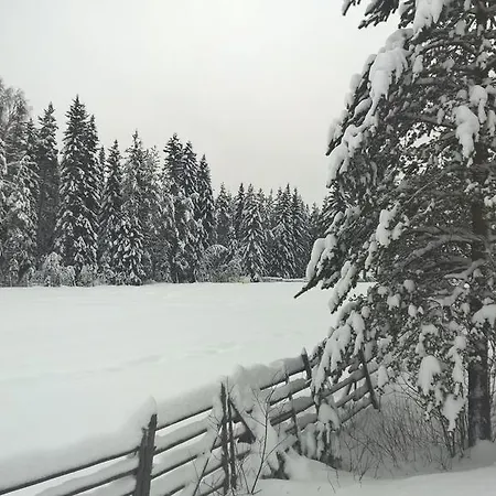 Lantgård Holiday Homes Of Poro-pekan Pirtti Patokoski