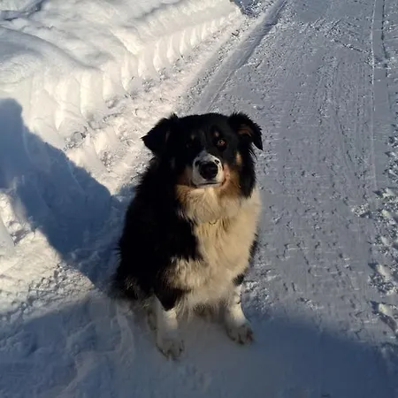 Holiday Homes Of Poro-pekan Pirtti Lantgård