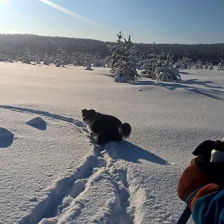 Lantgård Holiday Homes Of Poro-pekan Pirtti Patokoski