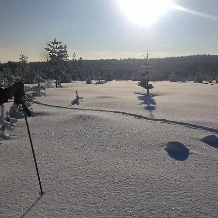 Holiday Homes Of Poro-pekan Pirtti * 파토코스키