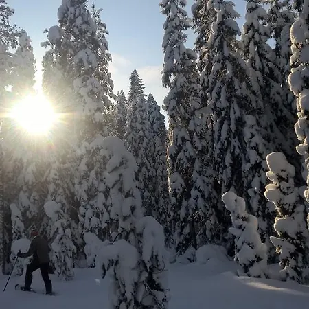 Holiday Homes Of Poro-pekan Pirtti 파토코스키