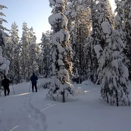 Holiday Homes Of Poro-pekan Pirtti *