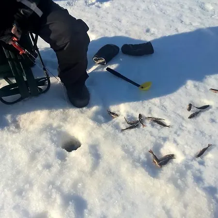 Holiday Homes Of Poro-pekan Pirtti Lantgård