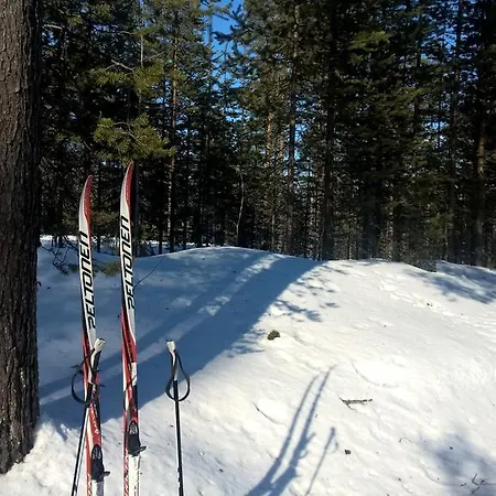 Holiday Homes Of Poro-pekan Pirtti 파토코스키