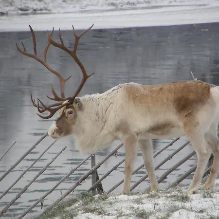 Holiday Homes Of Poro-pekan Pirtti 파토코스키