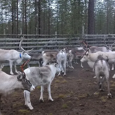 팜스테이 Holiday Homes Of Poro-pekan Pirtti