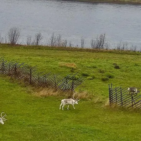 Holiday Homes Of Poro-pekan Pirtti Patokoski