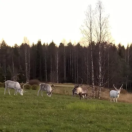 Holiday Homes Of Poro-pekan Pirtti Lantgård