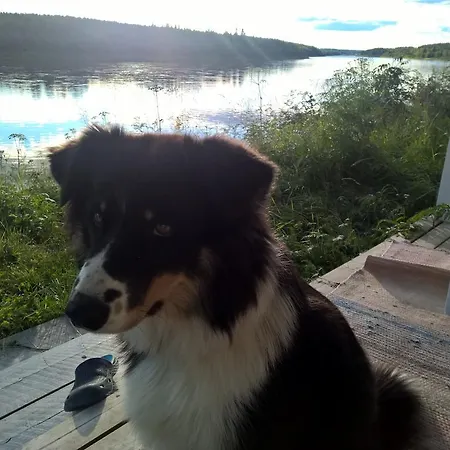 Holiday Homes Of Poro-pekan Pirtti Lantgård *