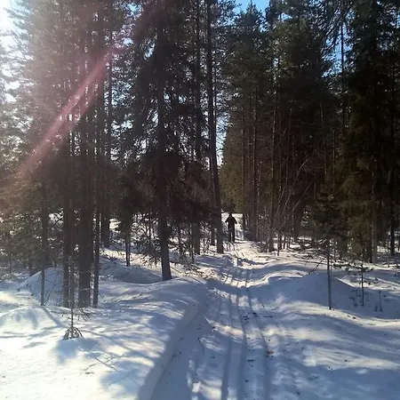 Lantgård Holiday Homes Of Poro-pekan Pirtti Patokoski