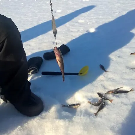 Holiday Homes Of Poro-pekan Pirtti * 파토코스키