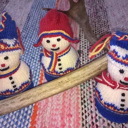 Holiday Homes Of Poro-pekan Pirtti Patokoski