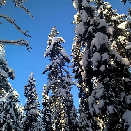 팜스테이 Holiday Homes Of Poro-pekan Pirtti *